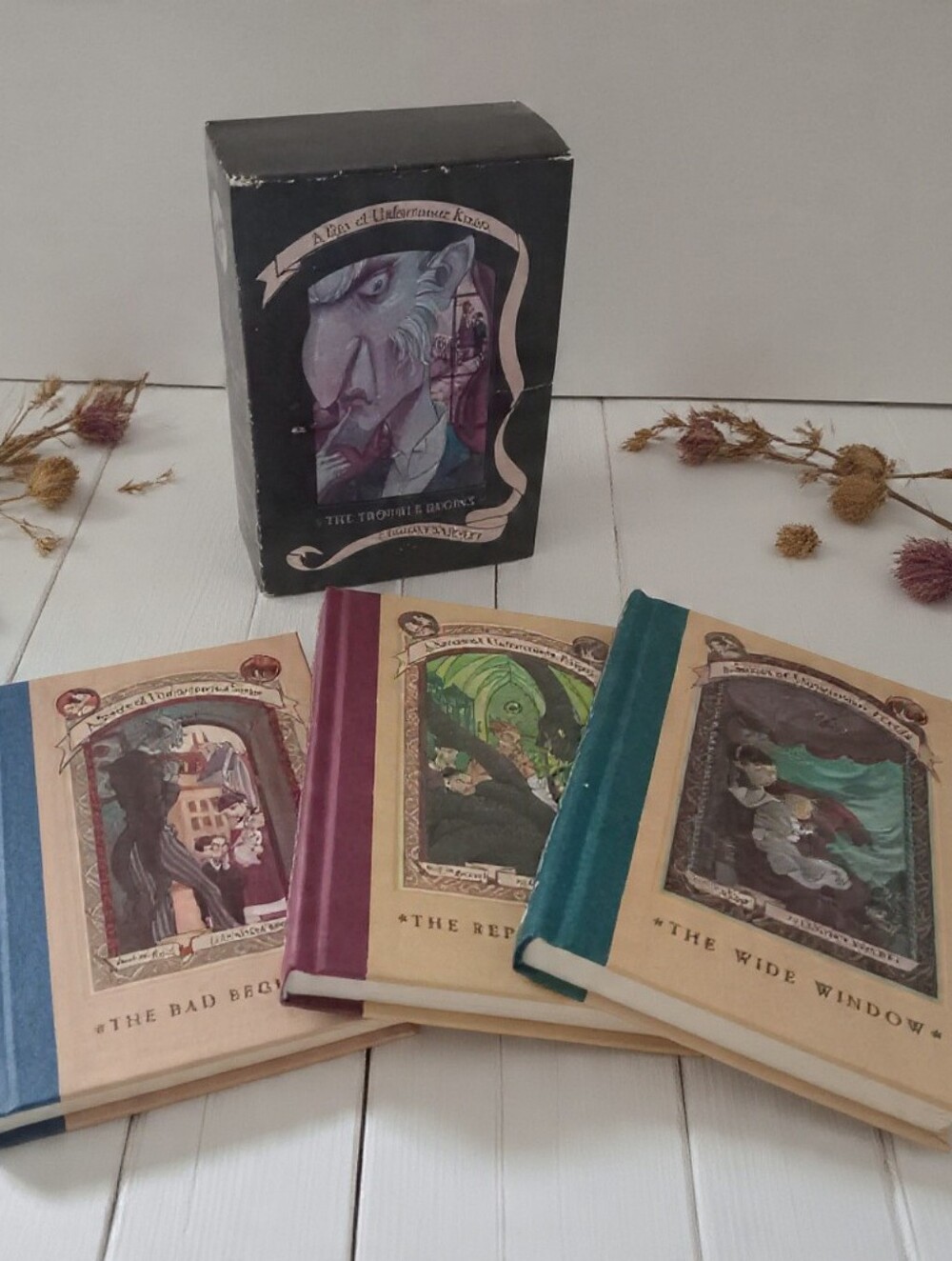 Lemony Snicket A Series of Unfortunate Events Books 1–3 Hardcover Box Set